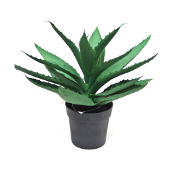 Kwiat w doniczce Aloes 28cm